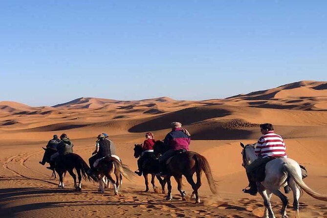 Fes to Fes 2 days via Merzouga desert tour - Meeting the Barbary macaques in Azrou’s cedar forest