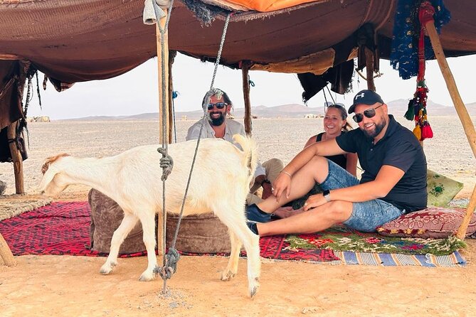 Fes to Fes Private Desert tour 1-night 2-Day Tour luxury camps - Ifrane and the Middle Atlas