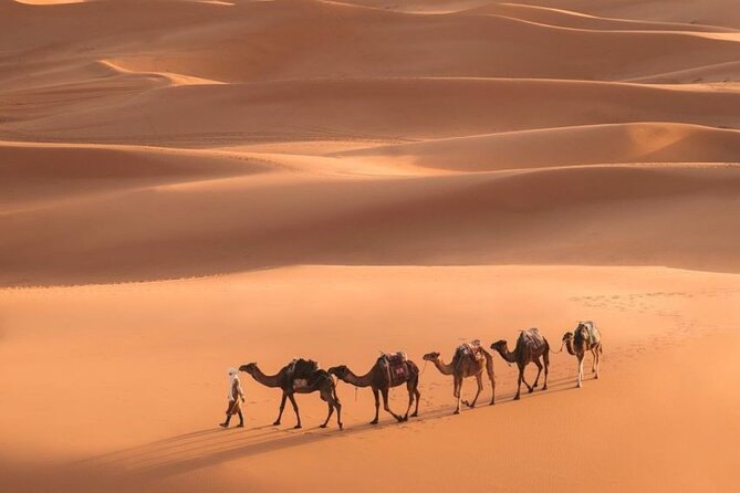 Fes To Marrakech: 3-Day Desert Tour - Sunrise in the dunes and the road to Todra Gorge