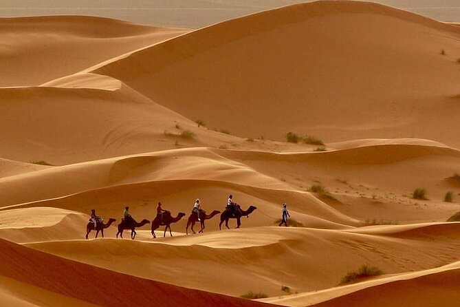 Fes To Marrakech: 3-Day Desert Tour - Food, comfort, and the real cost