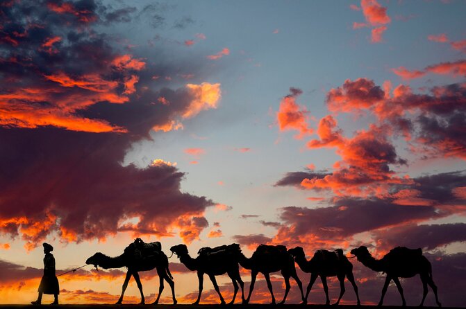 Fes To Marrakech: 3-Day Desert Tour - Who should book this Fez to Marrakech trip?