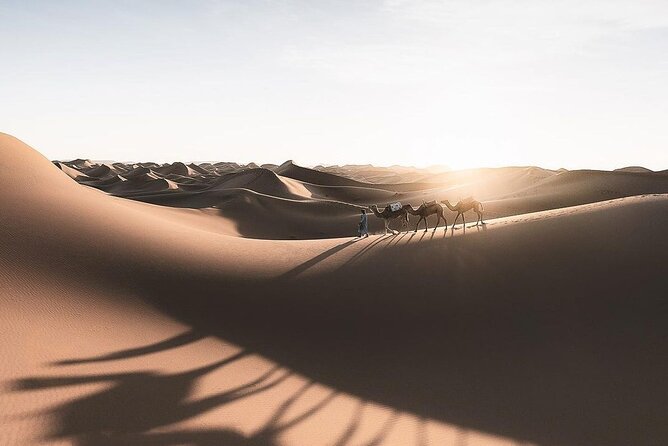 Fes To Marrakech: 3-Day Desert Tour - Booking advice before you pay