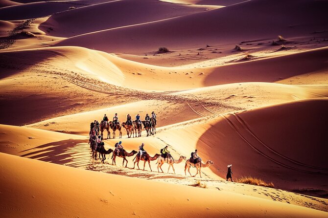 Fes to Marrakech 3 Days Desert Tour - From Fes’s Old City to the Cedar Forests