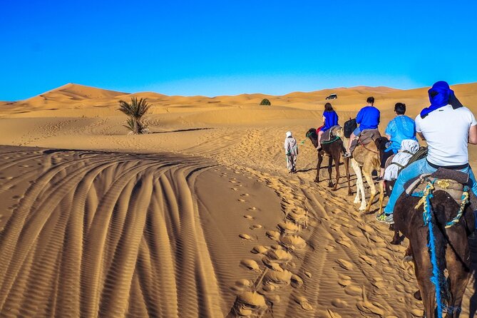 Fes to Marrakech 3 Days Desert Tour - Camel Time at Erg Chebbi