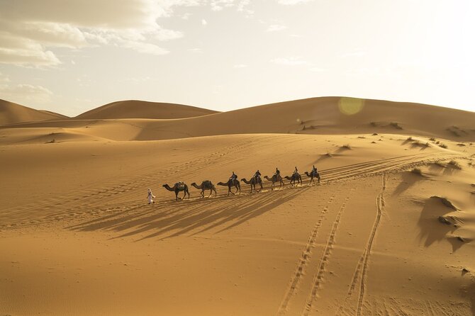 Fes to Marrakech 3 Days Desert Tour - Is $580.73 a Fair Price?