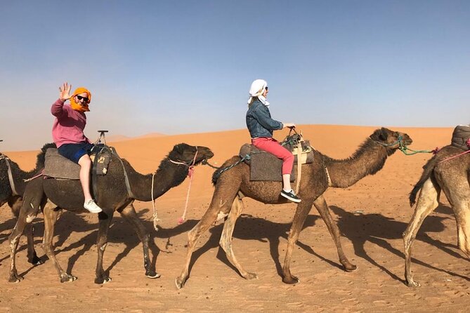 Fes To Marrakech : 3 Days Tour Via The Desert Of Merzouga & Camel - Day two: sunrise, Todgha Gorge, and the Dades Valley
