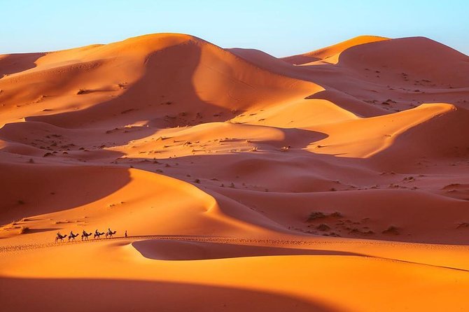 Fes to Marrakech desert tour 3 days - What the $391.61 price really covers