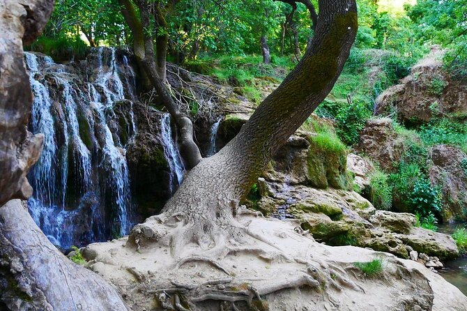 Fes to Middle Atlas Private Day Trip - Ifrane and its unexpected Alpine character