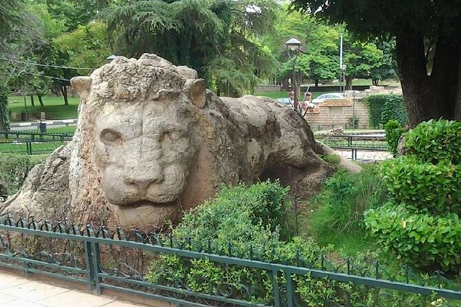Fes to Middle Atlas Private Day Trip - Azrou and the cedar forest