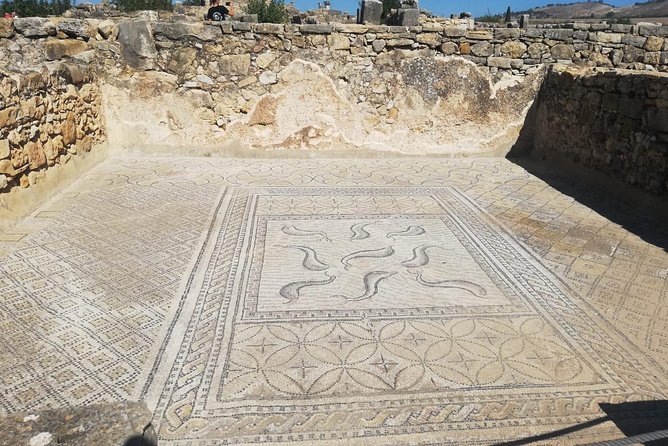 Fes to Volubilis, Moulay Idriss and Meknes Private Day Trip - Is $72.12 good value?