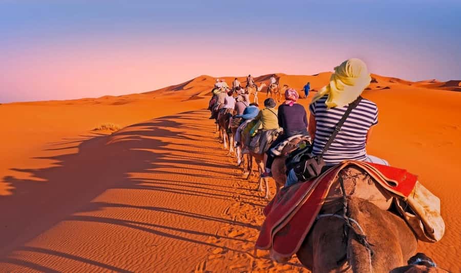 Fez: 2 Day-1 Night Luxury Sahara Desert Trip to Fez/Marakech - Azrou and the Forest of Monkeys