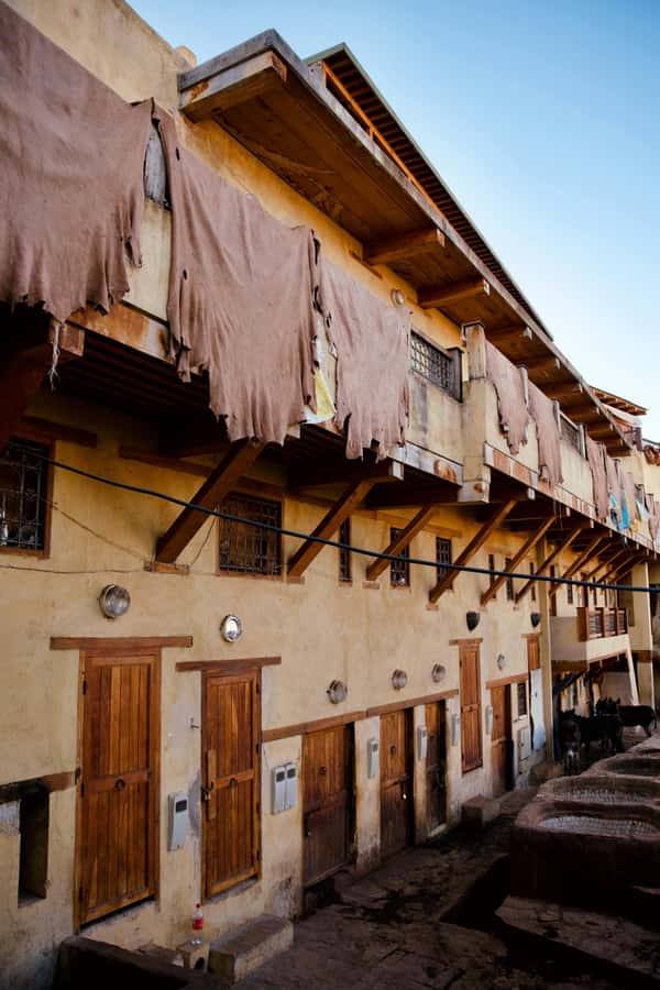 Fez: Guided Walking Tour of the Historic Medina - Souks, food stalls, and everyday Medina life