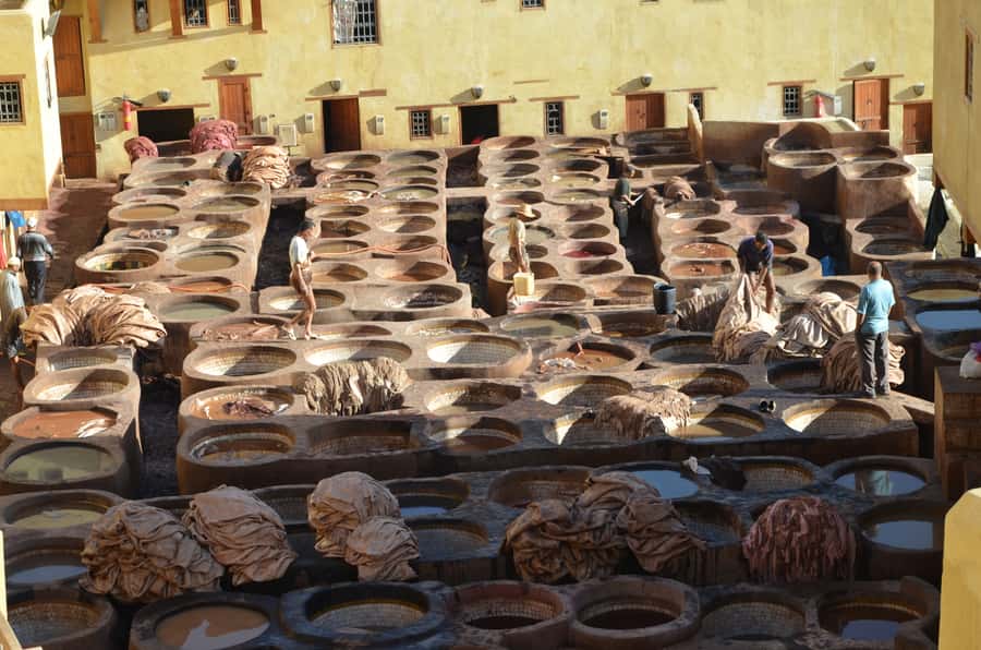 Fez: Half-Day City Private Walking Tour with a Guide - Bab Boujloud and the First Steps into Fez