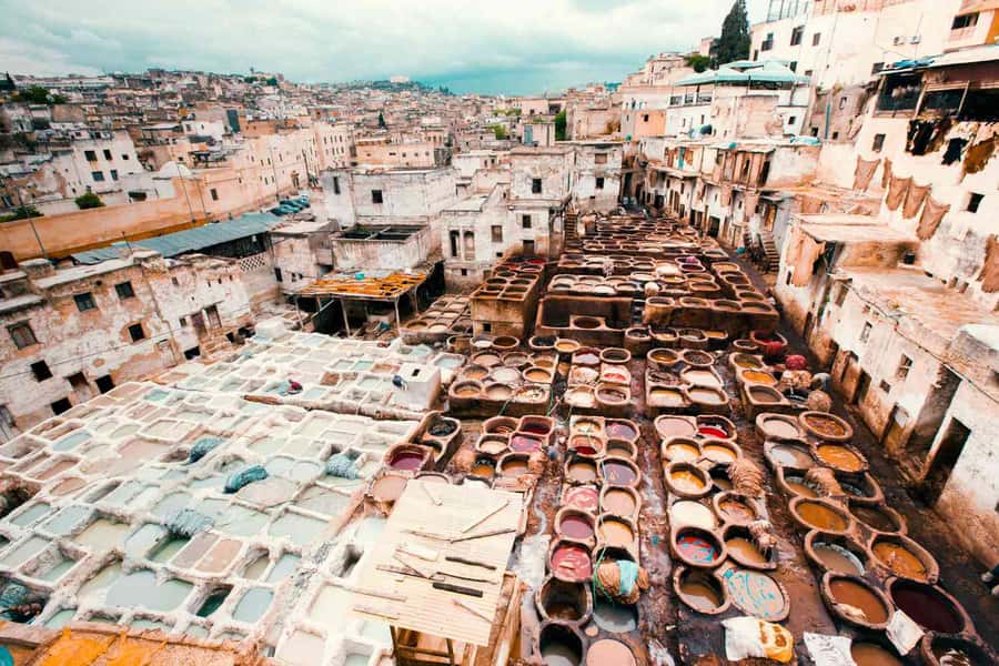 Fez: Half-Day Sightseeing Tour - Why a guide helps inside Fez’s old city