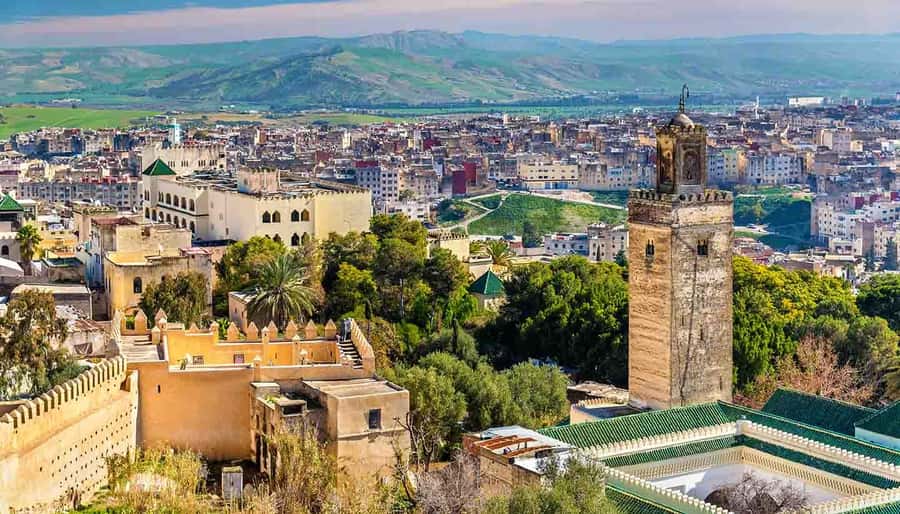 Fez: Half-Day Sightseeing Tour - Panoramic views add a pause above the lanes