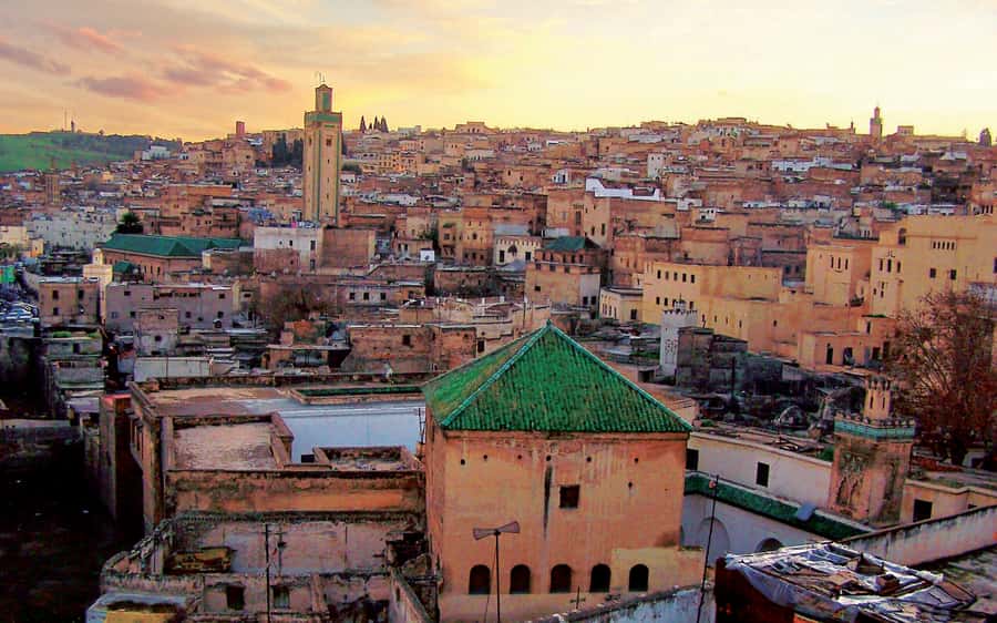 Fez: Half-Day Sightseeing Tour - Bab Boujloud gives you a clear starting point