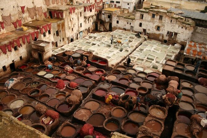 Fez Medina 4-Hour Guided Walking Tour - Key points to know before you book