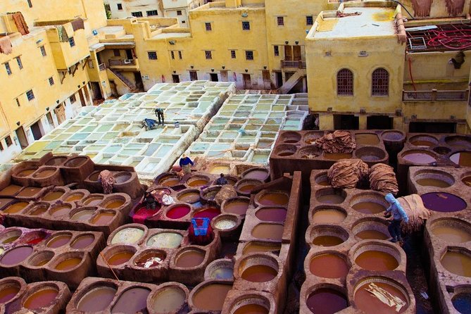 Fez Medina 4-Hour Guided Walking Tour - Dar Batha Museum, with an important renovation warning
