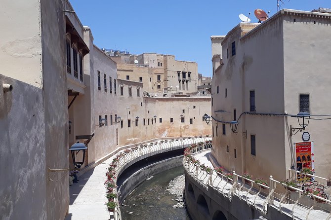 Fez Medina 4-Hour Guided Walking Tour - Chouara Tannery and the strongest sensory stop