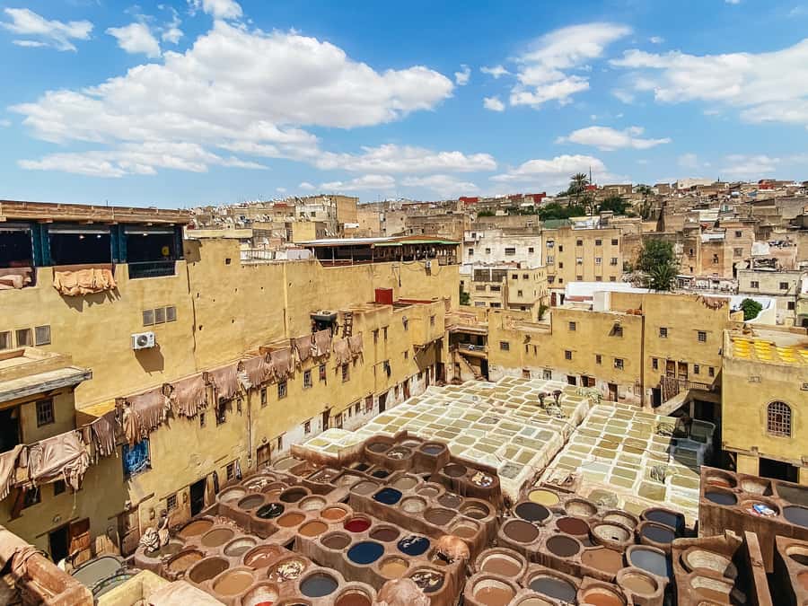 Fez Medina Guided Tour - Quaraouiyine Mosque and the Andalusian Mosque