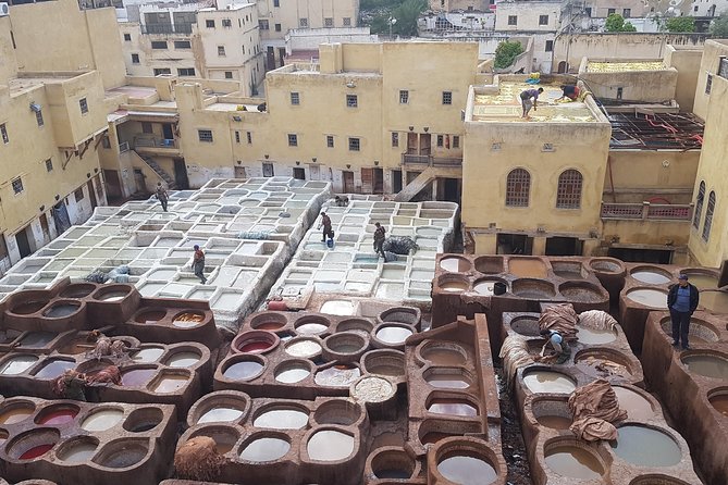 Fez Medina half day walking Tour - Who will enjoy this Fez medina walk