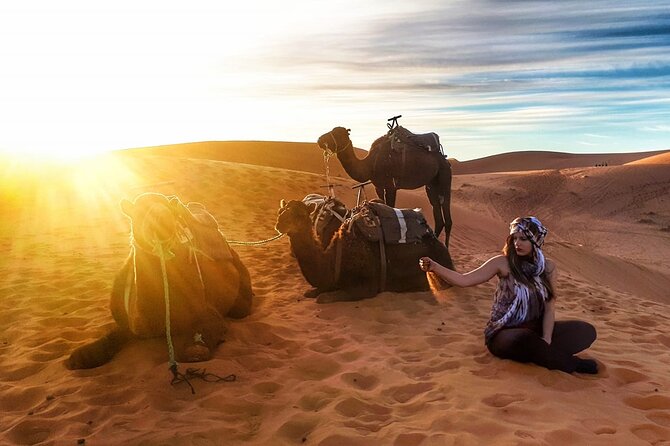 Fez to Marrakech via Merzouga Desert - 3 Day Desert Tour - Day Three: The Valley of Roses and Ouarzazate