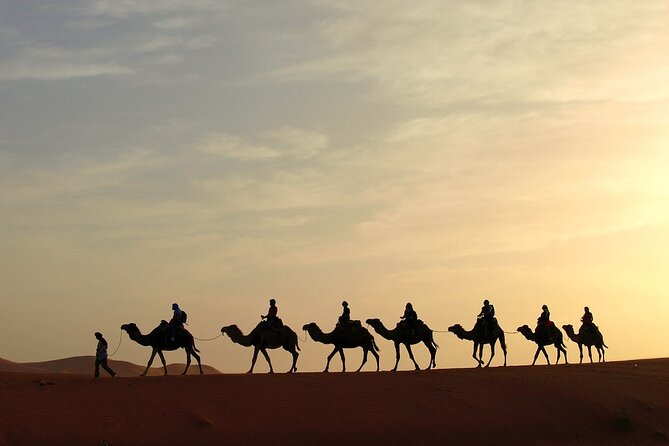 Fez to Marrakech via Merzouga Desert - 3 Day Desert Tour - The Driver Can Make or Break the Experience