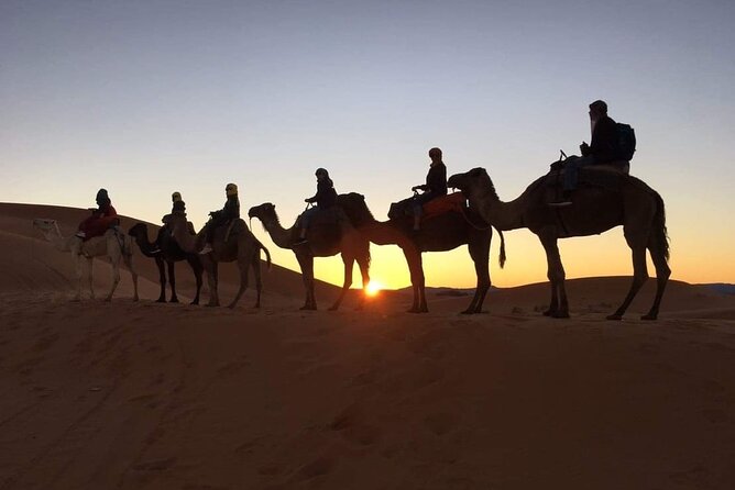 Fez to Marrakech via Merzouga Desert - 3 Day Desert Tour - Sunset Camels and a Night Beyond Merzouga