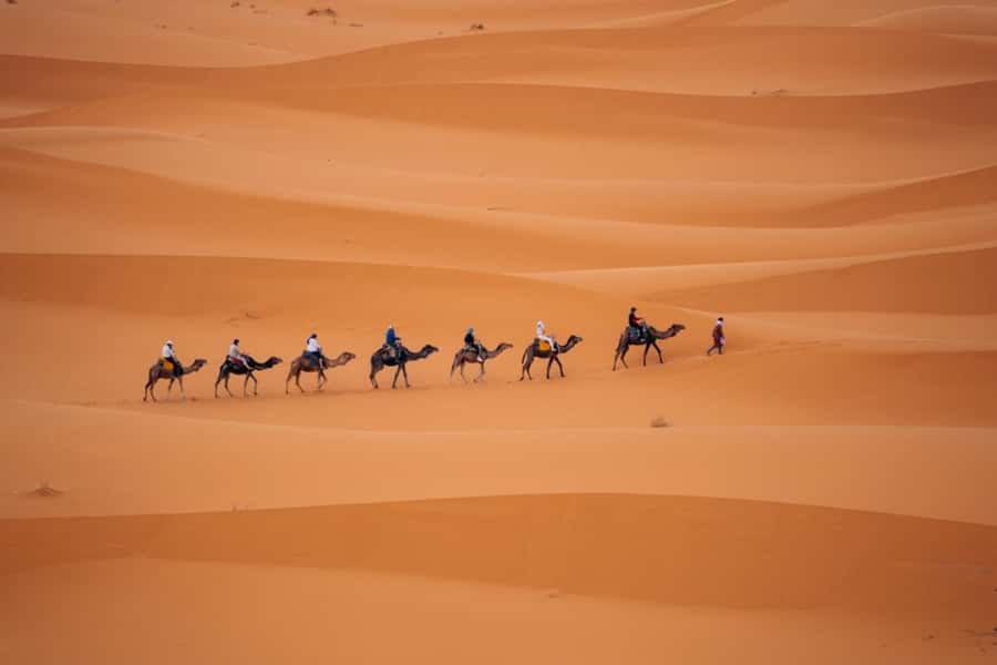 From Agadir: 3-Day Desert Tour to Marrakech - What to pack and what to budget