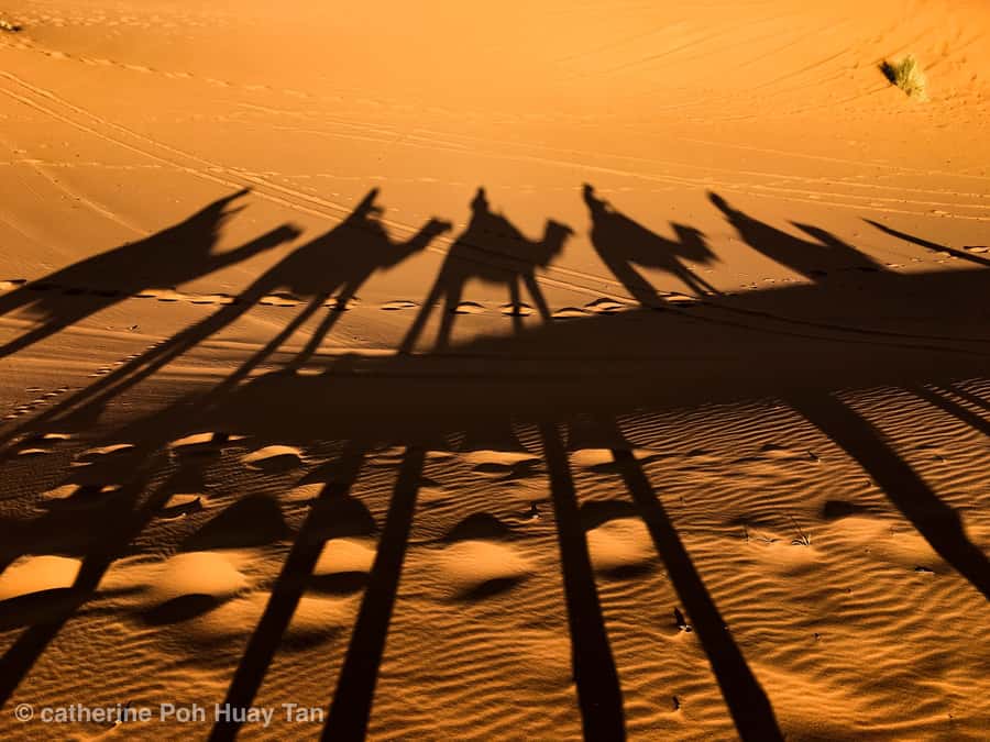 From Agadir: 4×4 Jeep Sahara Desert Tour with Lunch - What this Agadir desert tour really offers