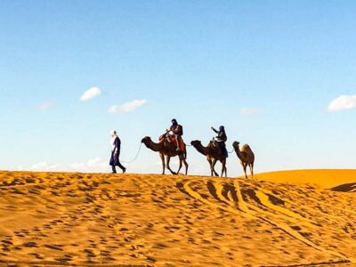 4×4 Jeep Sahara Desert Tour with Lunch