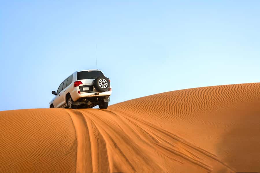 From Agadir: 4×4 Sahara Desert Safari with Lunch and Pickup - Oued Massa and the birdlife of Souss-Massa