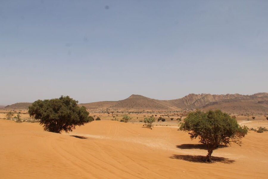 From Agadir: 4×4 Sahara Desert Safari with Lunch and Pickup - Small Sahara dunes and the optional camel ride
