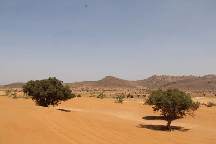 From Agadir: 4×4 Sahara Desert Safari with Lunch and Pickup - Transport, guides, and the pace of the day