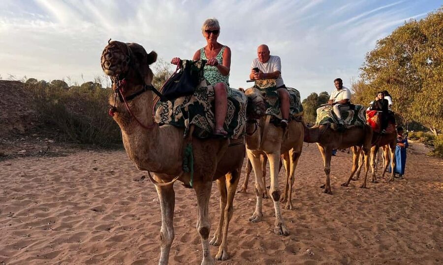 From Agadir: Camel Ride and Flamingo Trek - Key points to know before booking