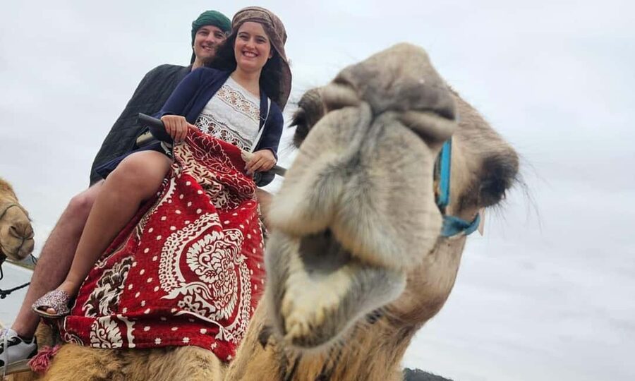From Agadir: Camel Ride and Flamingo Trek - Flamingos across the water