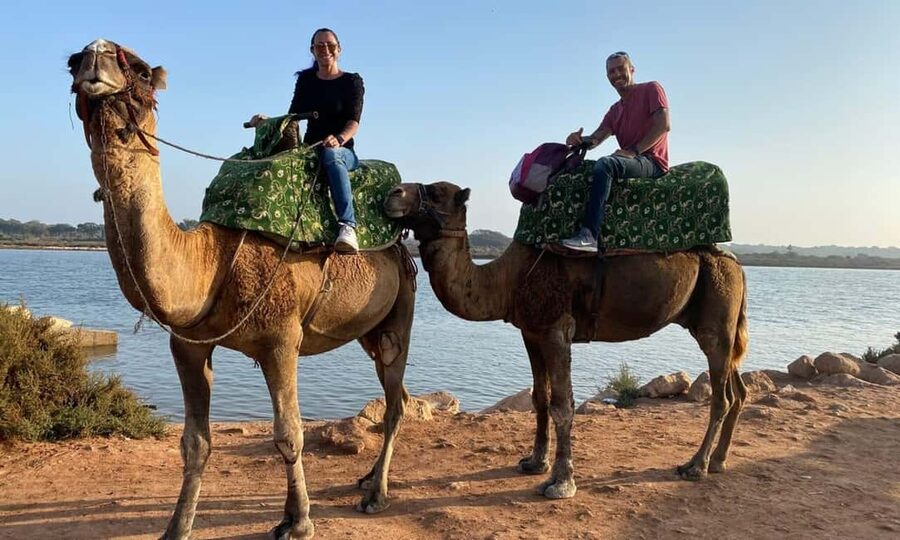 From Agadir: Camel Ride and Flamingo Trek - Heat, clothing, and what to bring