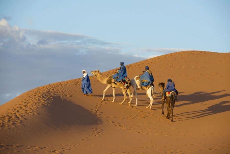 From Agadir: Camel Ride and Flamingo Trek - Is $19 good value?