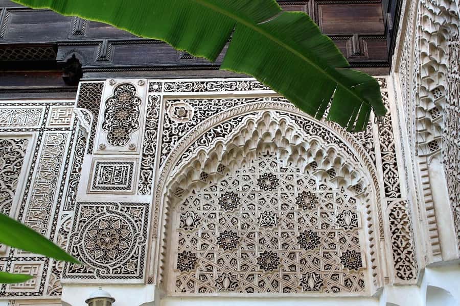 From Agadir: Guided Day Trip to Marrakech - The argan and herbal products stop