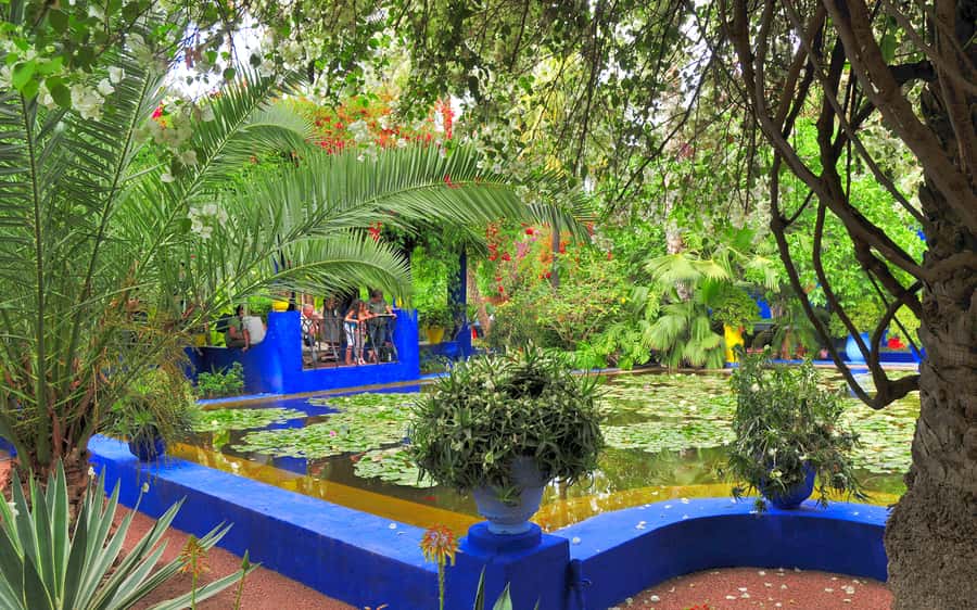 From Agadir: Guided Day Trip to Marrakech - What the road journey means for your day