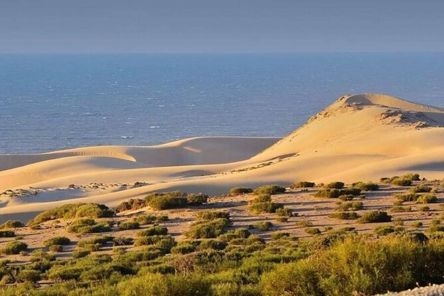 From Agadir: Jeep Desert Safari with Lunch and Camel Ride - The mini Sahara dunes and camel ride