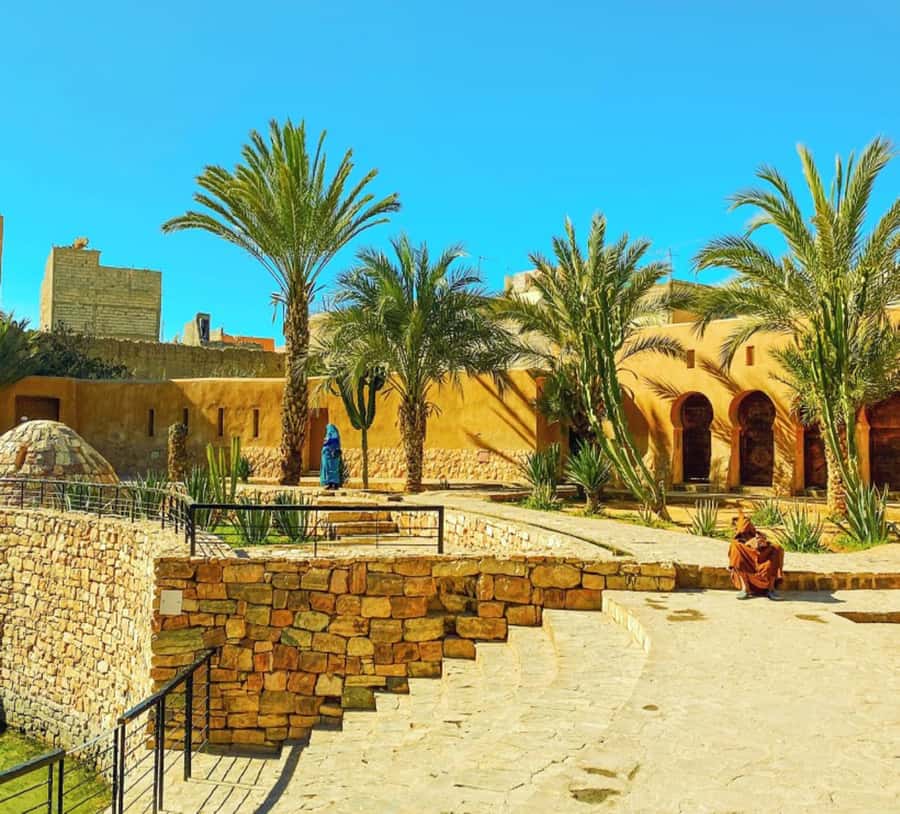 From Agadir: Legzira Beach & Tiznit Day Trip with Lunch - Who should book this day trip