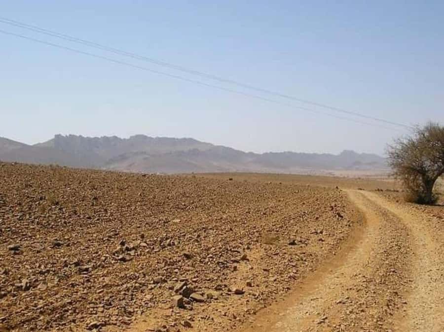 From Agadir: Mini Sahara Day Tour with Lunch - Who should book this experience