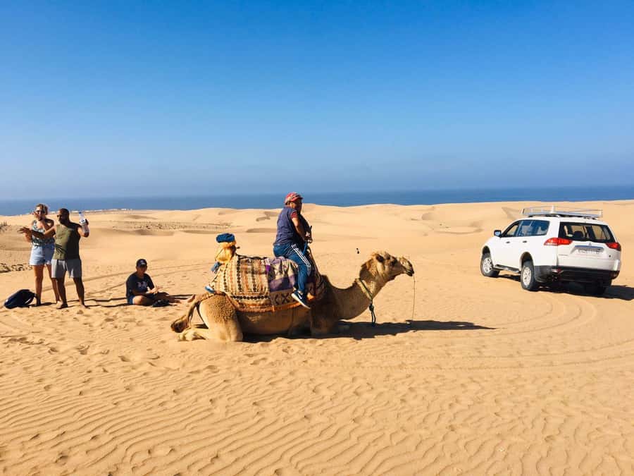 From Agadir: Mini Sahara Day Tour with Lunch - The Souss Massa River and Sidi Rbat