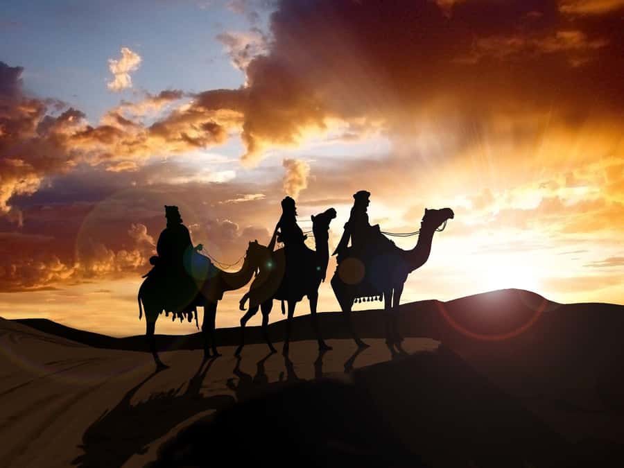 From Agadir or Taghazout: Camel Ride Berber Tour Experience - Key points to know before booking