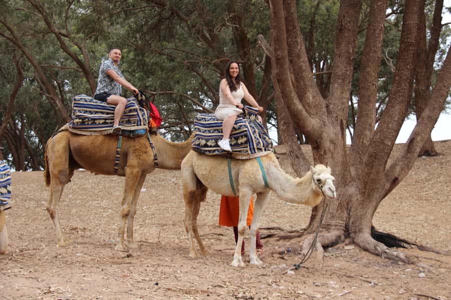 From Agadir or Taghazout: Camel Ride Berber Tour Experience - Through the eucalyptus trees