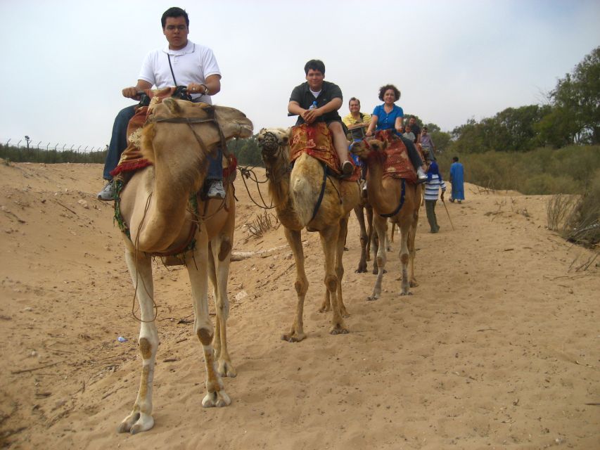 From Agadir or Taghazout: Camel Ride Berber Tour Experience - Photos, guides, and the human side of the tour
