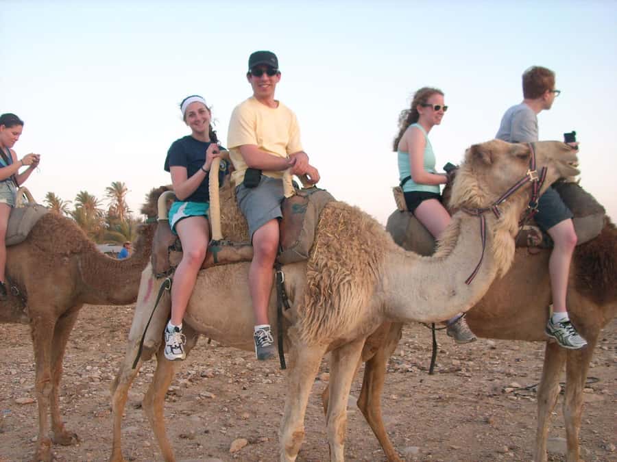 From Agadir or Taghazout: Camel Ride Berber Tour Experience - Mint tea, biscuits, and the barbecue option