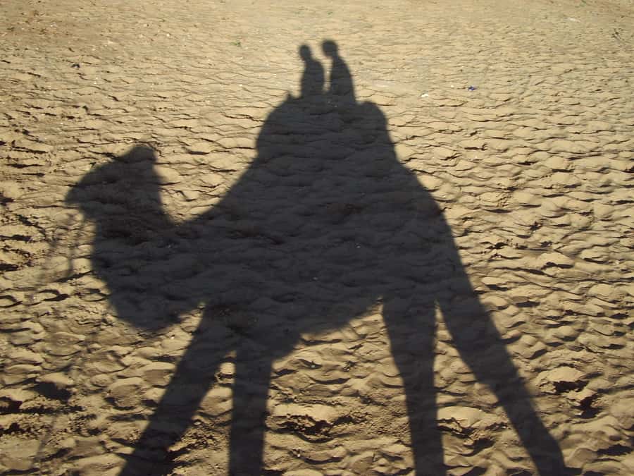 From Agadir or Taghazout: Camel Ride Berber Tour Experience - Is $27 a fair price?