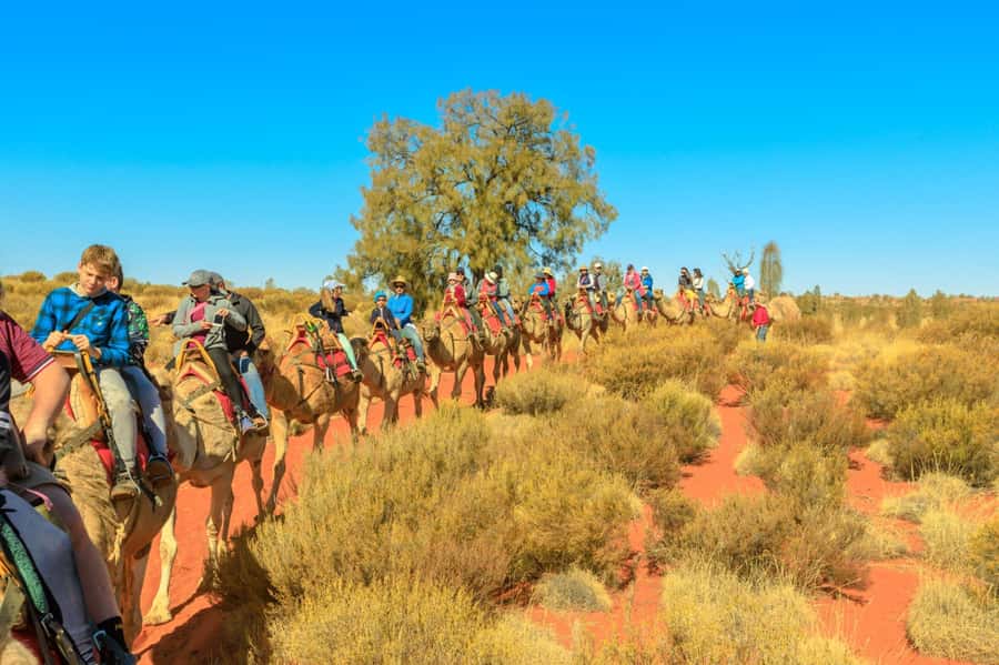 From Agadir or Taghazout: Camel Ride Berber Tour Experience - Getting comfortable on your camel